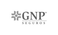 GNP Seguros