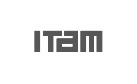 ITAM