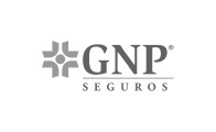 logo gnp